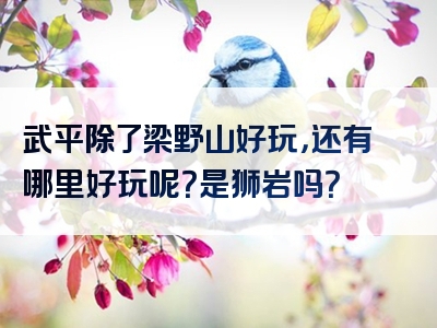 武平除了梁野山好玩，还有哪里好玩呢？是狮岩吗？