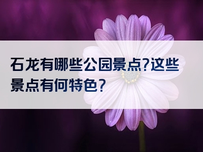 石龙有哪些公园景点？这些景点有何特色？