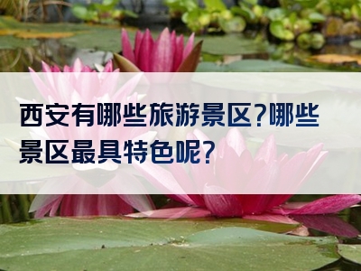 西安有哪些旅游景区？哪些景区最具特色呢？