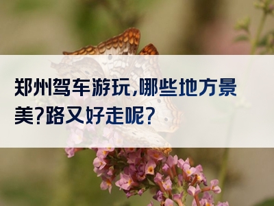 郑州驾车游玩，哪些地方景美？路又好走呢？