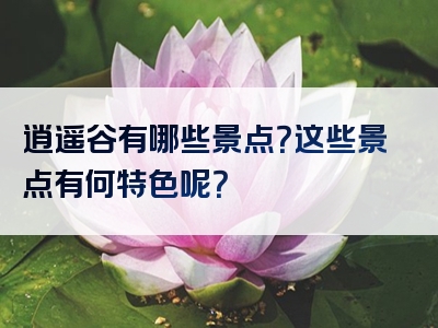 逍遥谷有哪些景点？这些景点有何特色呢？