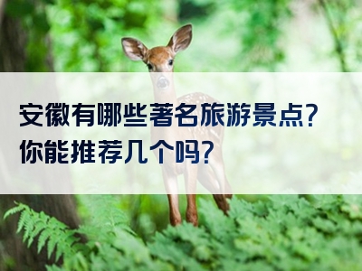 安徽有哪些著名旅游景点？你能推荐几个吗？