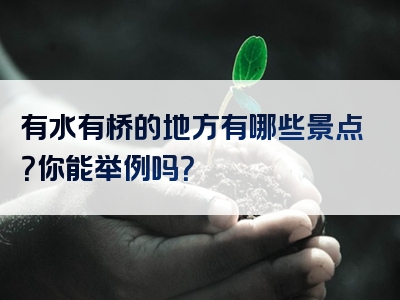 有水有桥的地方有哪些景点？你能举例吗？
