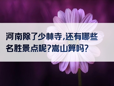 河南除了少林寺，还有哪些名胜景点呢？嵩山算吗？