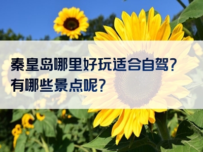 秦皇岛哪里好玩适合自驾？有哪些景点呢？