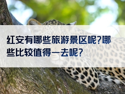 红安有哪些旅游景区呢？哪些比较值得一去呢？