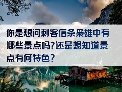 你是想问刺客信条枭雄中有哪些景点吗？还是想知道景点有何特色？