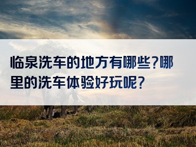 临泉洗车的地方有哪些？哪里的洗车体验好玩呢？