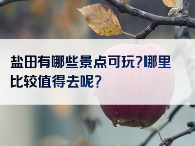 盐田有哪些景点可玩？哪里比较值得去呢？