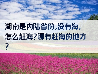 湖南是内陆省份，没有海，怎么赶海？哪有赶海的地方？