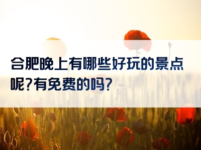 合肥晚上有哪些好玩的景点呢？有免费的吗？
