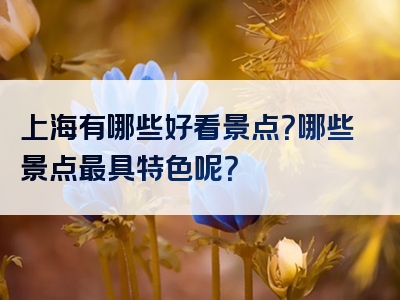 上海有哪些好看景点？哪些景点最具特色呢？