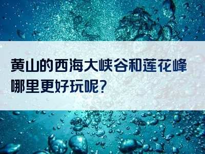 黄山的西海大峡谷和莲花峰哪里更好玩呢？