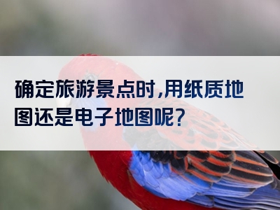 确定旅游景点时，用纸质地图还是电子地图呢？