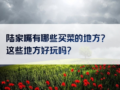 陆家嘴有哪些买菜的地方？这些地方好玩吗？