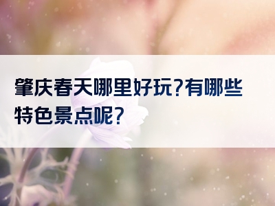 肇庆春天哪里好玩？有哪些特色景点呢？