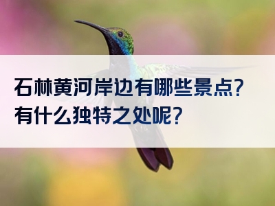 石林黄河岸边有哪些景点？有什么独特之处呢？