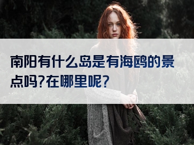 南阳有什么岛是有海鸥的景点吗？在哪里呢？