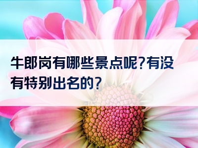 牛郎岗有哪些景点呢？有没有特别出名的？