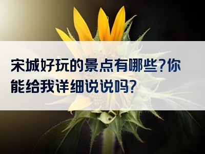 宋城好玩的景点有哪些？你能给我详细说说吗？