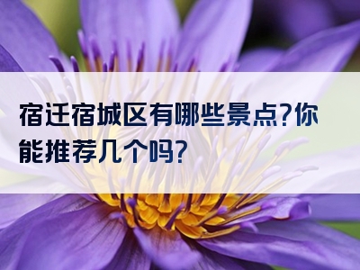 宿迁宿城区有哪些景点？你能推荐几个吗？