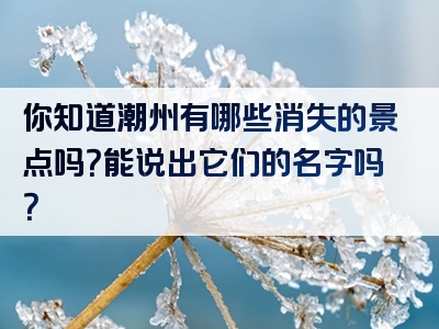 你知道潮州有哪些消失的景点吗？能说出它们的名字吗？