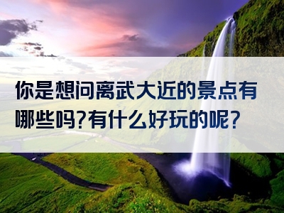 你是想问离武大近的景点有哪些吗？有什么好玩的呢？