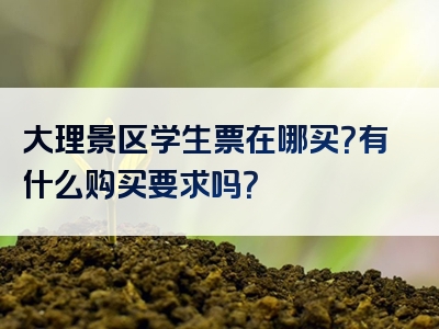 大理景区学生票在哪买？有什么购买要求吗？