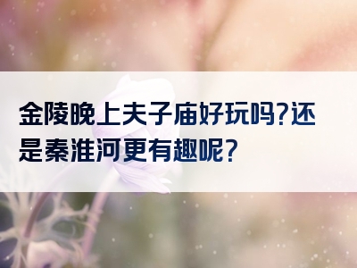 金陵晚上夫子庙好玩吗？还是秦淮河更有趣呢？