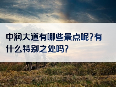 中润大道有哪些景点呢？有什么特别之处吗？