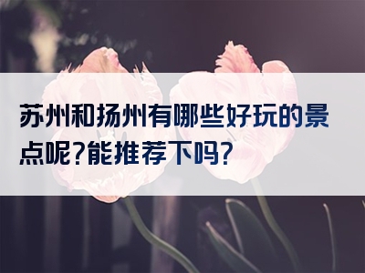 苏州和扬州有哪些好玩的景点呢？能推荐下吗？
