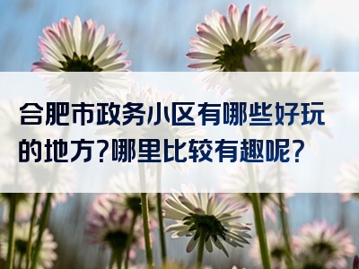 合肥市政务小区有哪些好玩的地方？哪里比较有趣呢？