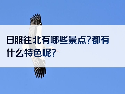 日照往北有哪些景点？都有什么特色呢？