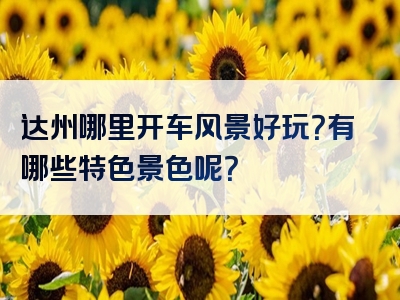 达州哪里开车风景好玩？有哪些特色景色呢？