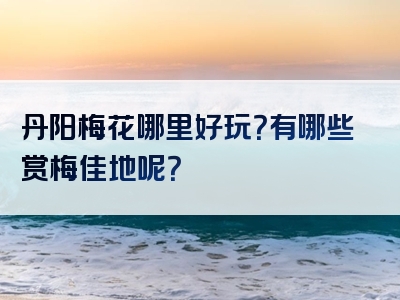 丹阳梅花哪里好玩？有哪些赏梅佳地呢？