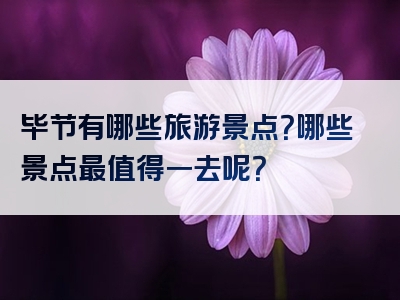 毕节有哪些旅游景点？哪些景点最值得一去呢？
