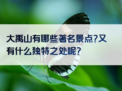 大禹山有哪些著名景点？又有什么独特之处呢？