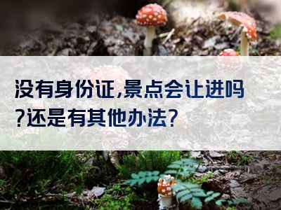 没有身份证，景点会让进吗？还是有其他办法？