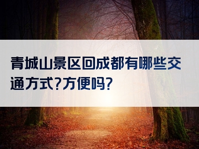 青城山景区回成都有哪些交通方式？方便吗？