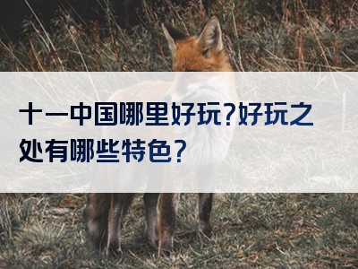 十一中国哪里好玩？好玩之处有哪些特色？