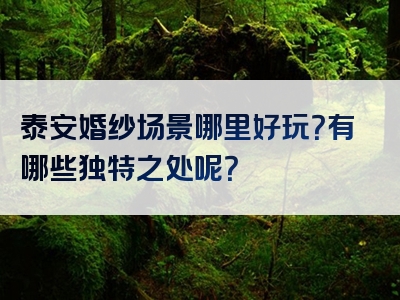 泰安婚纱场景哪里好玩？有哪些独特之处呢？