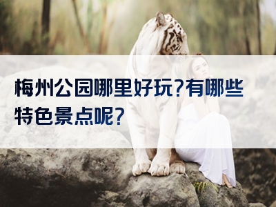 梅州公园哪里好玩？有哪些特色景点呢？