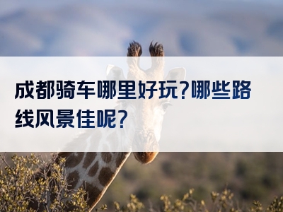 成都骑车哪里好玩？哪些路线风景佳呢？