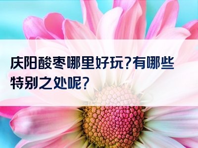 庆阳酸枣哪里好玩？有哪些特别之处呢？