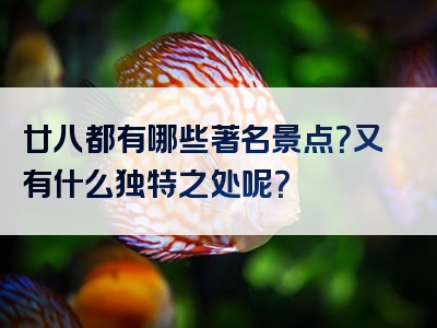 廿八都有哪些著名景点？又有什么独特之处呢？