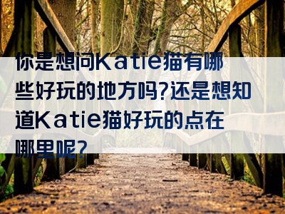 你是想问Katie猫有哪些好玩的地方吗？还是想知道Katie猫好玩的点在哪里呢？