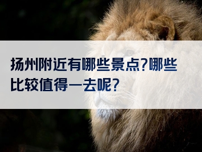 扬州附近有哪些景点？哪些比较值得一去呢？