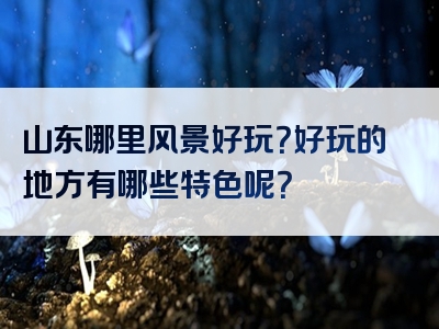 山东哪里风景好玩？好玩的地方有哪些特色呢？