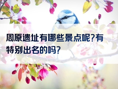 周原遗址有哪些景点呢？有特别出名的吗？