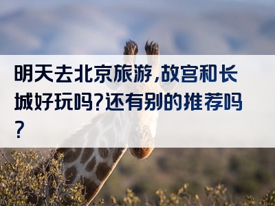 明天去北京旅游，故宫和长城好玩吗？还有别的推荐吗？